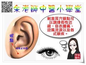 耳穴 眼點