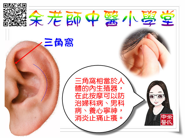 耳穴 三角窩 男科 女科