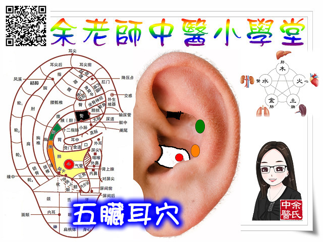 五臟耳穴
