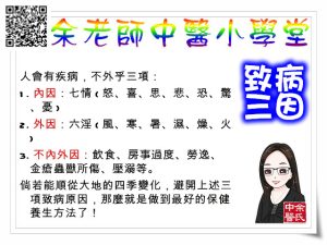 中醫致病三因